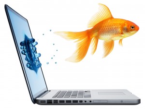 fish out of computer Fish Out of Screen